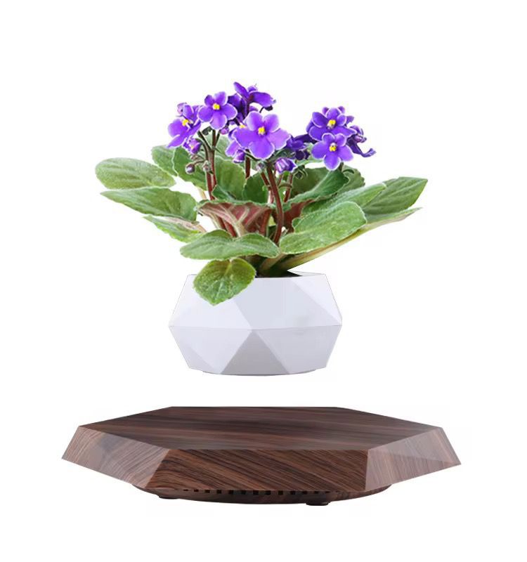 Levitating - Floating Flower Pot with Wood Base ©