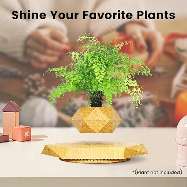 Levitating - Bonsai Planter Pot ©